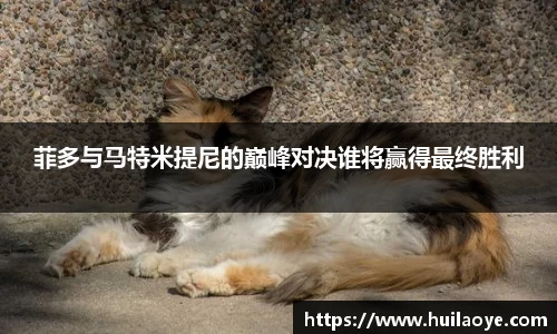 菲多与马特米提尼的巅峰对决谁将赢得最终胜利